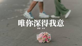 羊羊 - 唯你深得我意『曾吹過的風淋過的雨 也算在一起，翻過的山看過的海 也算奔赴你，肩並肩看過的電影 錯過的風景，你說忘就忘 我怎敢再提。』【動態歌詞MV】