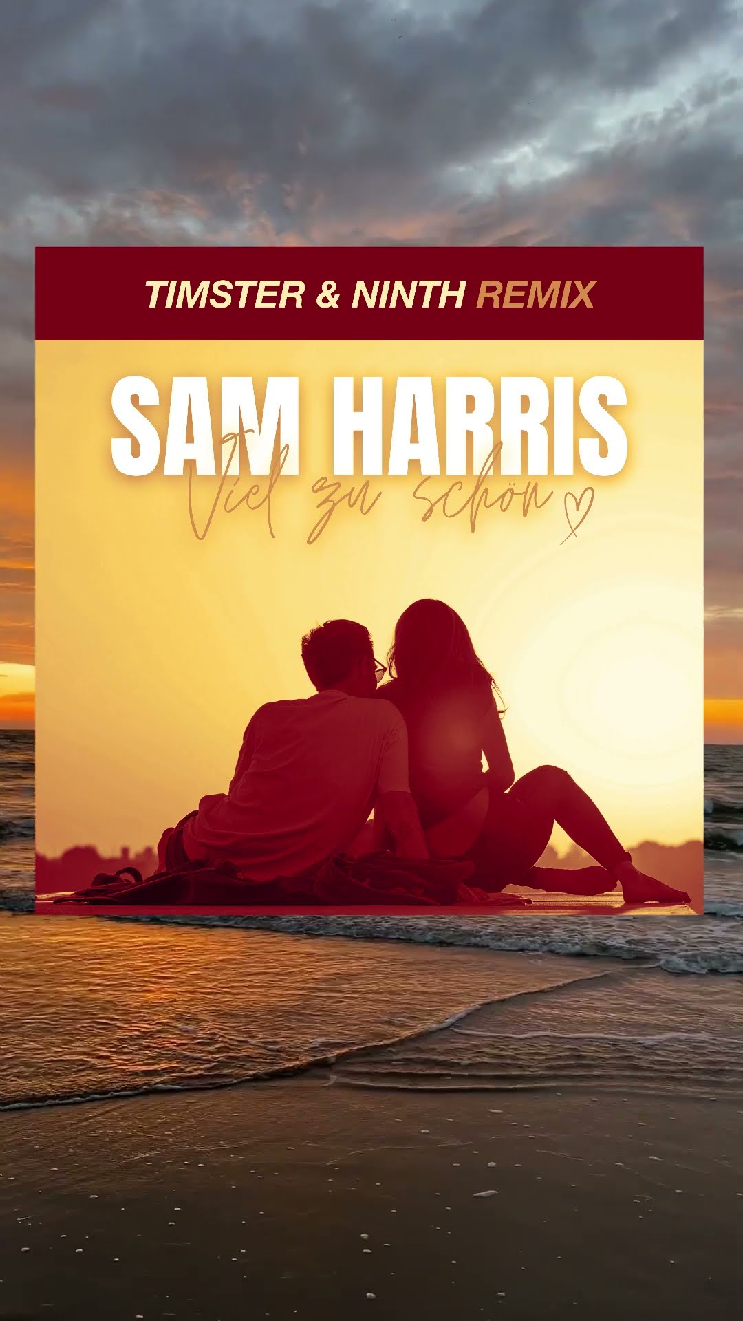 Sam Harris - Viel Zu Schön (Timster \u0026 Ninth Remix)