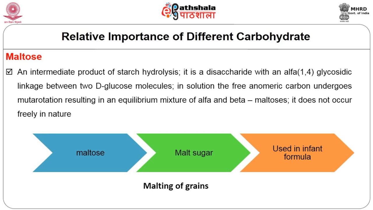 Nutritional Importance Of Carbohydrates Youtube