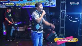 BLACK STAR MUSIC - TEMAN - PETEL MALHOTRA - PENDOSAWALAN KALINYAMATAN JEPARA