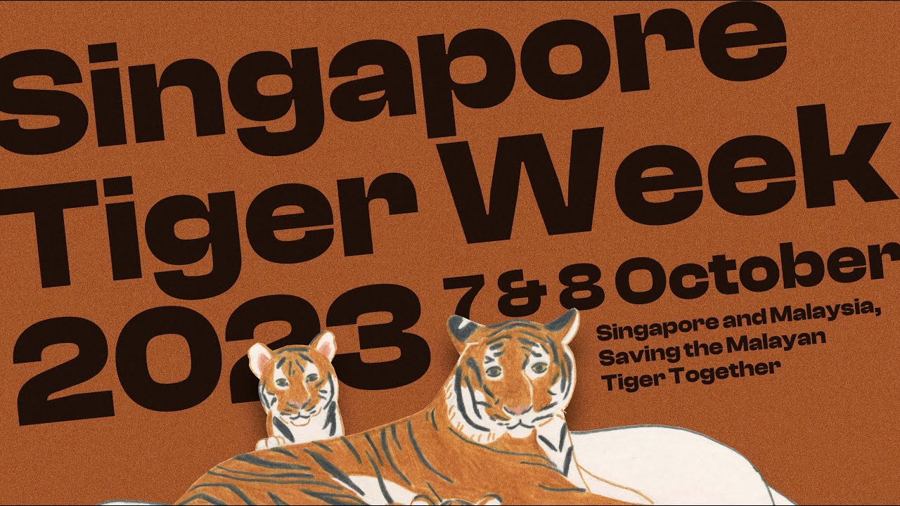 tiger – OG Singapore