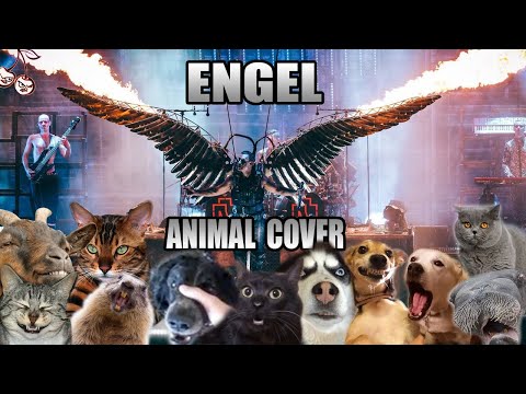 Rammstein - Engel (Animal Cover)