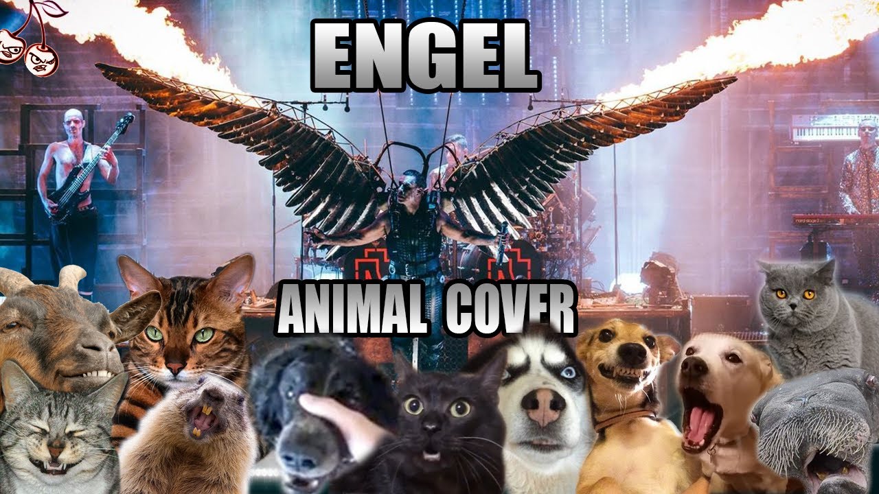 Rammstein - Engel (Animal Cover)