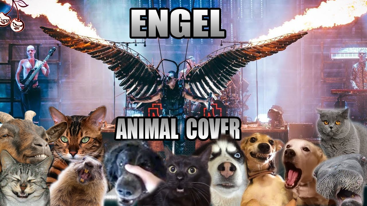 Rammstein - Engel (Animal Cover)
