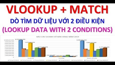 VLOOKUP + MATCH : Dò tìm dữ liệu với hai điều kiện (Lookup Data with 2 Conditions) - Wowisee