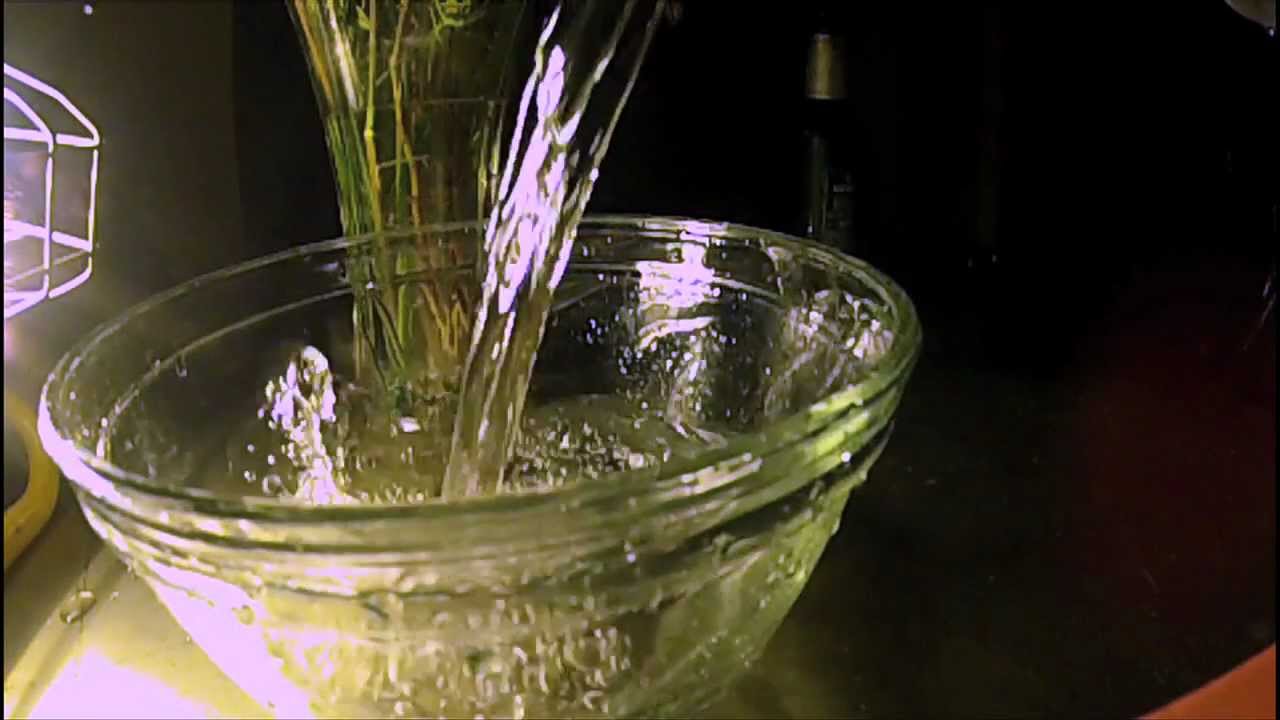 GoPro Hero2 120 fps Slow Motion water pour.