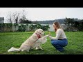 🐶 Léo, o amigo canino que leva sorrisos à pediatria 🐾