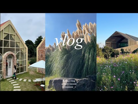 VLOG. 일상 모음집. 끝없는 제주여행. 엄마의 생신파티. 세상 평범한 일상브이로그. 이러고살아요. 기록vlog.
