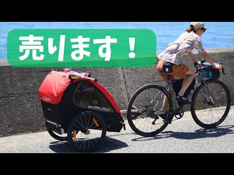 今さらですが、Burleyの取扱開始します！そしてハニービー (HONEY BEE