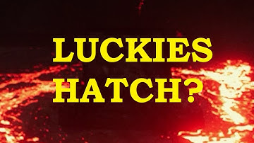 luck is a thing? - Dead By Daylight