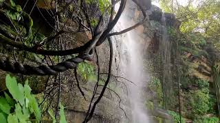 New WhatsApp Status | Waterfalls | Cinematic | soft music 💚 Mountain Beautiful nature  #birdsounds screenshot 4