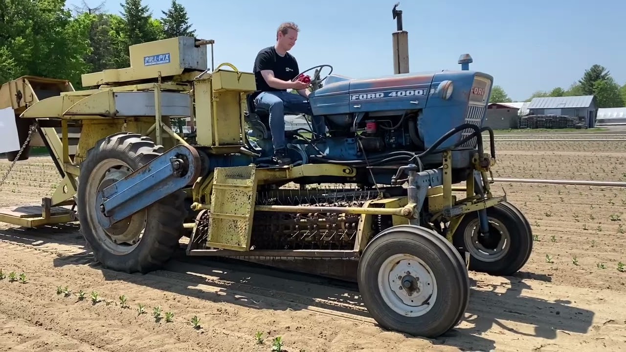 Chisholm-Ryder Harvester for Green Bean