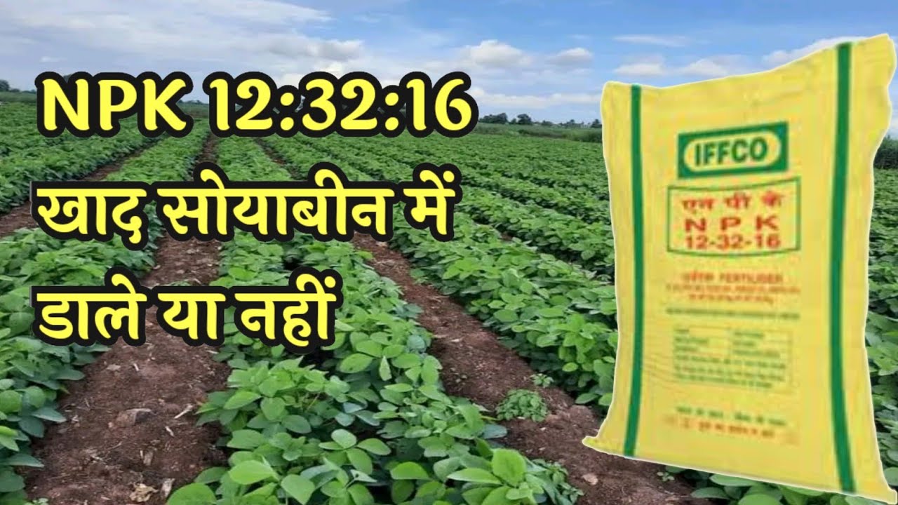 NPK 12 32 16 Soyabean Mein Konsa Npk npk-12-32-16-soyabean-mein-konsa-npk
