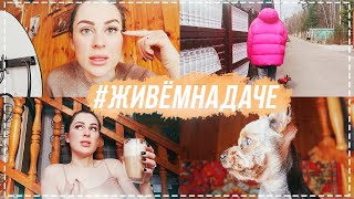 #ЖивемНаДаче день 4 | Я ПРОСТО В БЕШЕНСТВЕ! КАК ТАК ВООБЩЕ МОЖНО!?