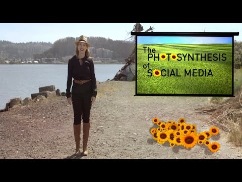 Photosynthesis Of Social Media | Ep. 4 | The Future Starts Here