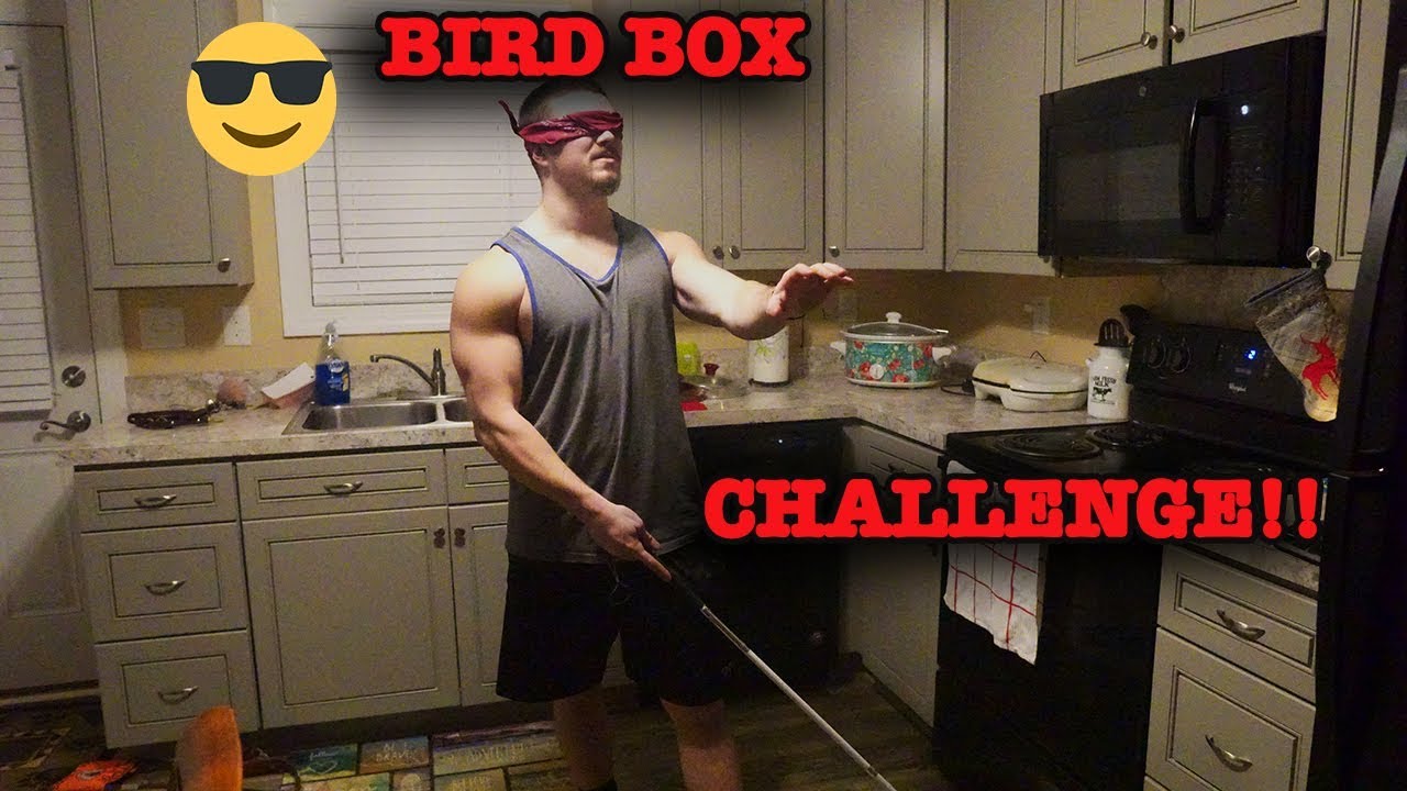 Bird Box Challenge With A Blind Person