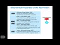 TRACO 2018 - K-RAS and Chaperone proteins