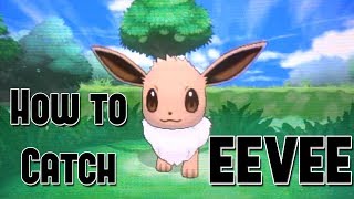 How to Catch Eevee - Pokemon X and Y 