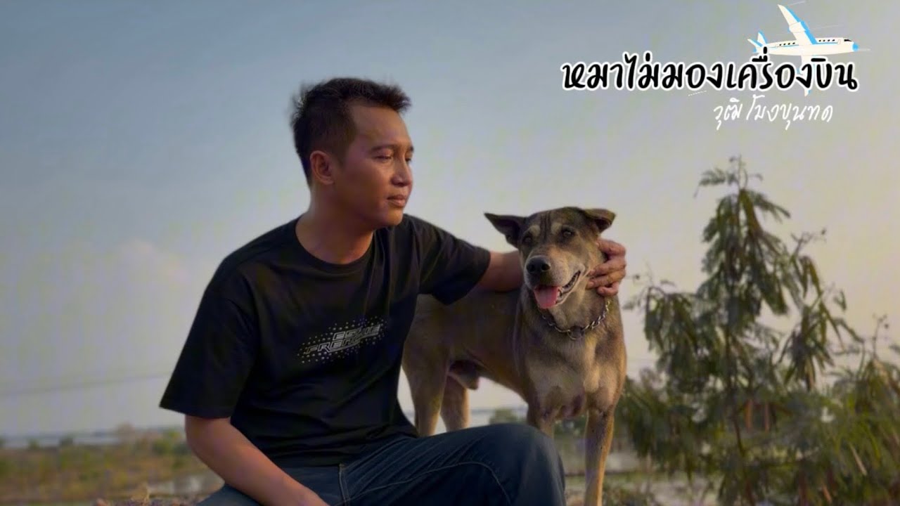 หมาไม่มองเครื่องบิน ~ วุฒิ โมงขุนทด