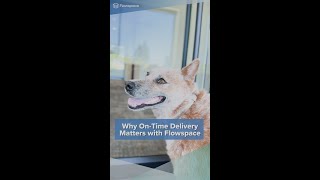 For leading pet brands, fulfillment isn’t just logistics—it’s loyalty.
