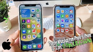 Transfer WhatsApp from iPhone to iPhone 12, 12 pro, 11, 11 pro, X, XS, 8, 7, 6 & Plus screenshot 4
