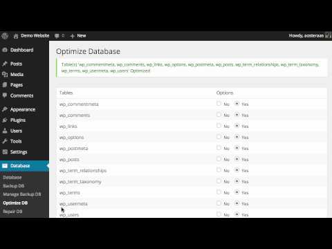WP-DBManager: How to Optimize and Repair Database Tables
