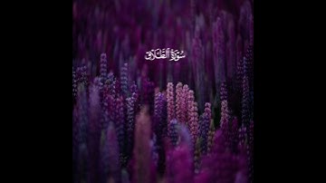 لا تدري لعل الله يحدث بعد ذلك أمرا | سورة الطلاق | القارئ ماهر المعيقلي