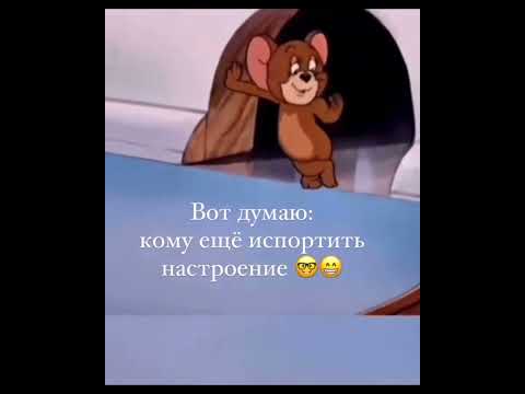 Вот так #юмор #юмор #дуэт #дуэт #той #rek #тренд #свадьба