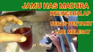 CARA MEMBUAT JAMU UNTUK KELINCI BALAP AGAR STAMINA KUAT DAN SEHAT