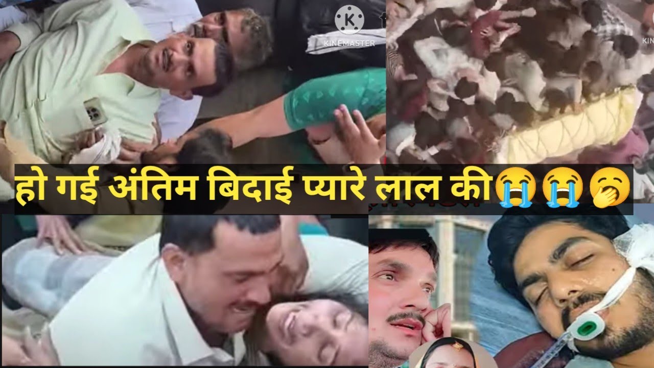 प्यारे लाल की अंतिम बिदाई हो गई😱 😭😭 #rashmitiwariblog# 
