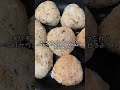 お茶漬け作ったよ！