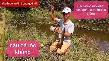 câu rê cá lóc khủng và cách móc mồi nhái Siêu hiệu quả.fishing snakehead.fishing
