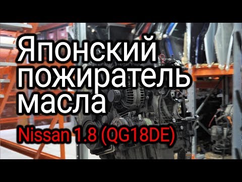 Video: 2006 Nissan Sentra канча курга ээ?