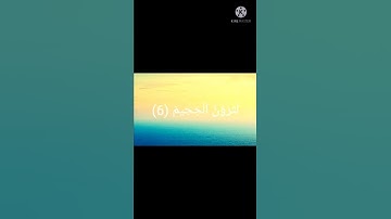 سورة التكاثر القارئ محمد الفقيه