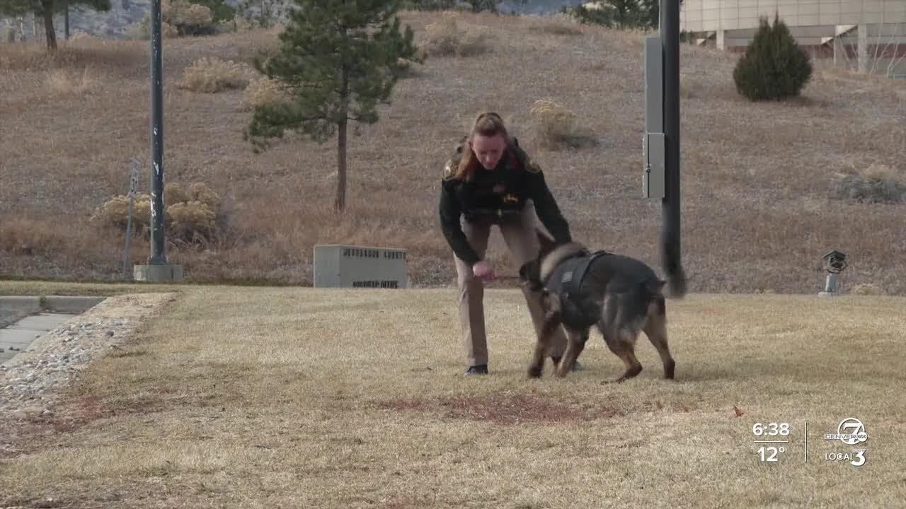 Advocates want even higher protections for working dogs after 2023 law