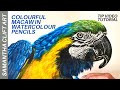 HOW TO draw a Parrot in Watercolour Pencils - Watercolour Pencil TUTORIAL | Samantha Clift Art