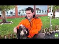 Víctor Mallo Carro con Jara, subcampeones Rastro de Jabalí Local Copa Galicia Terra de Melide