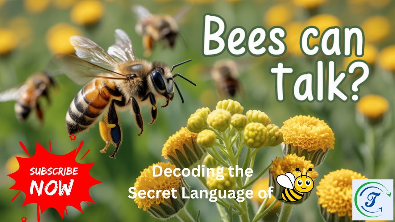 Я пытался расшифровать язык пчёл, и вот что получилось