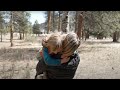 YMCA Impact Video 2022