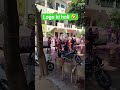 Bhai Aaj toh Newzealand jeetegi 🏏 #viral #funny #cricket #cricketlover #shorts