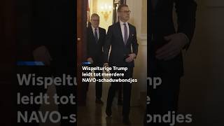 Thumbnail for Wispelturige Trump leidt tot NAVO-schaduwbondjes