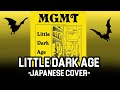 Little Dark Age (Japanese Cover)
