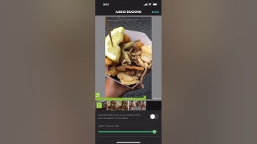Powerful tool for video editors - learn how to use audio ducking with PicPlayPost