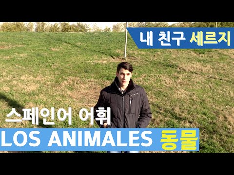 [스페인어 어휘] LOS ANIMALES (동물)