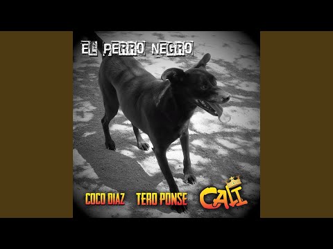 Grupo Cali - El Perro Negro
