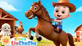 駕駕小馬來幫忙🐎 | 啟蒙教育 | 國語童謠 | 人氣兒歌 | LiaChaCha 依娜和恰恰 - 繁體中文 - 兒歌童謠