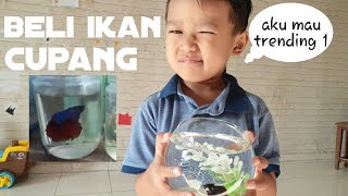 DRAMA BELI IKAN CUPANG | BAYUATTA