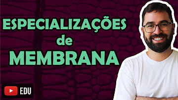 Quais são as especializações da membrana plasmática?