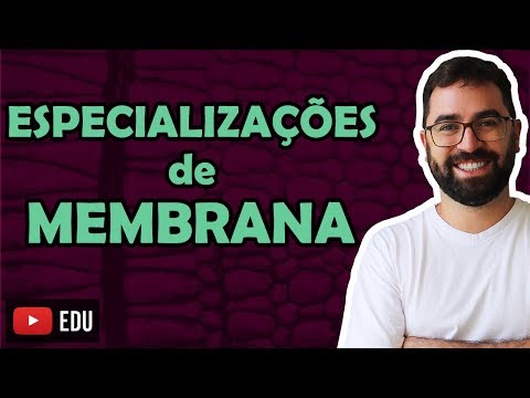 Vídeo: Diferença Entre Desmossomos E Hemidesmossomos