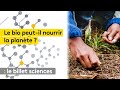 L'agriculture bio peut-elle nourrir la planète ?